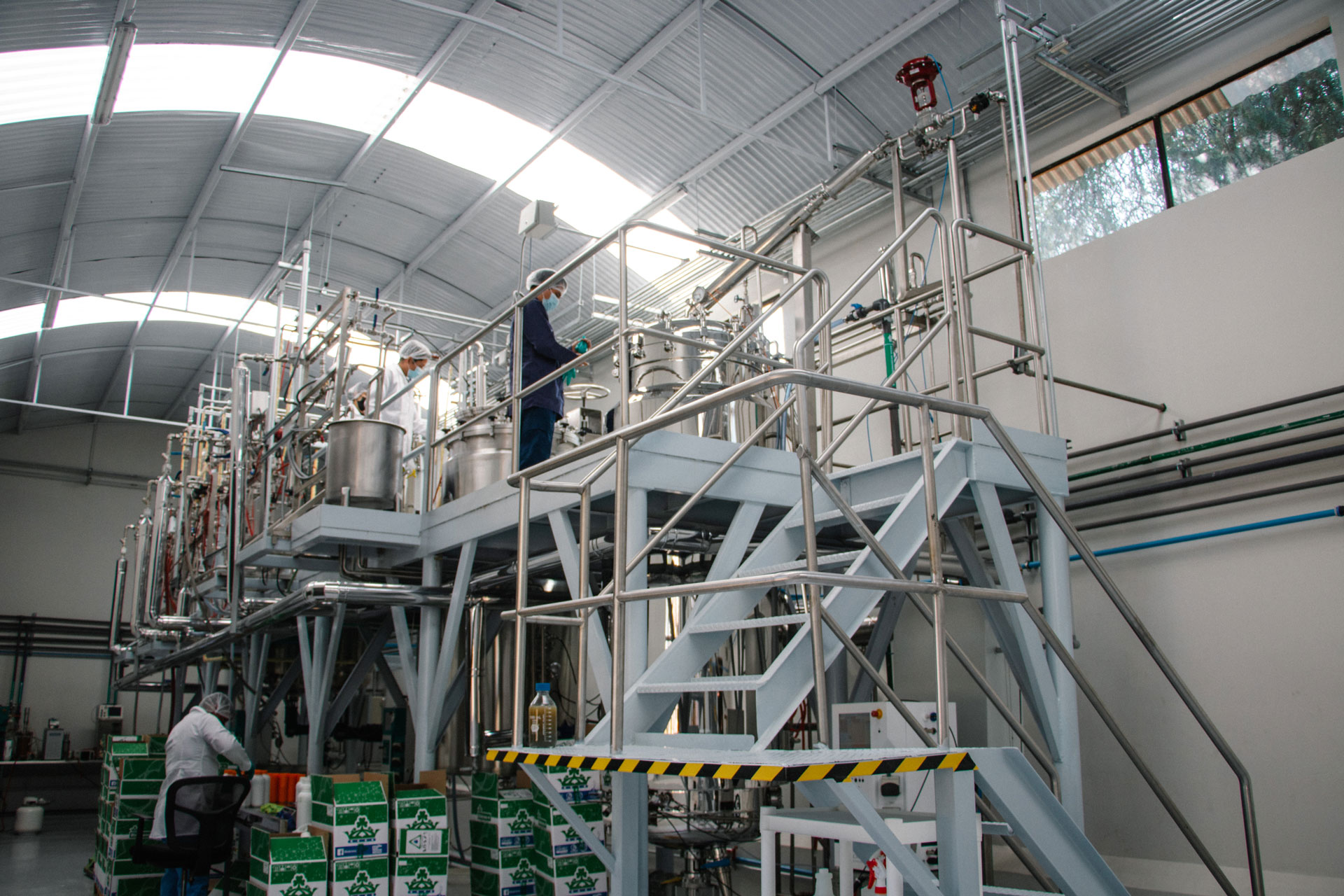 Lineas de Producción